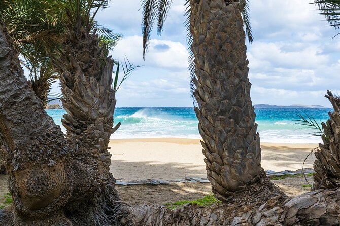 Full-Day Tour to Vai Palm Beach, Toplou Monastery, and Sitia Town - What’s Included and What to Consider