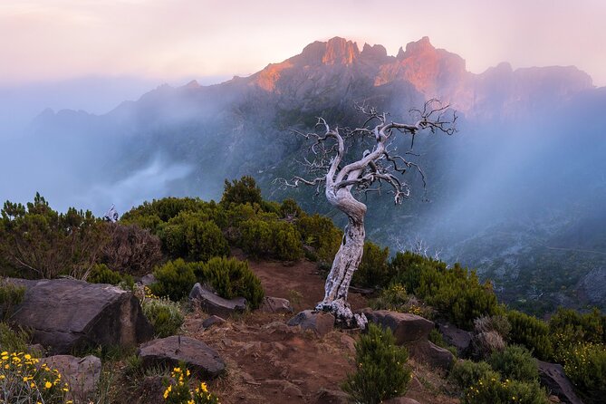 Full Day Tour to West Madeira Island - Exploring Natural Pools at Poca das Lesmas