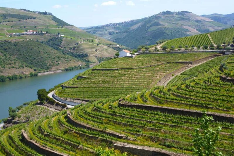 Full Day Tour - Transfer to Douro Valley from Lisbon w/stops - Explore Portugal’s Heartland with a Private Full-Day Tour from Lisbon