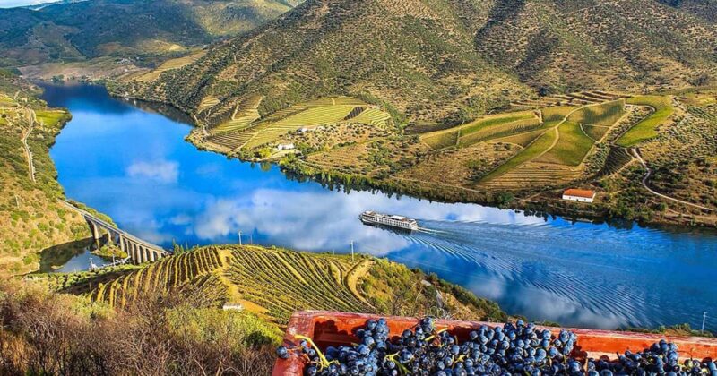 Full Day Tour - Transfer to Douro Valley from Lisbon w/stops - Nazaré’s Seaside Charm and Surfing Fame