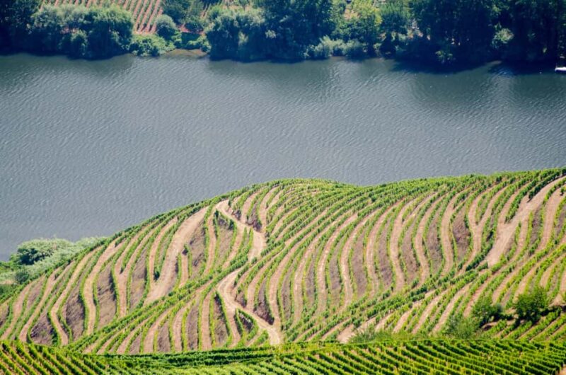 Full Day Tour - Transfer to Douro Valley from Lisbon w/stops - Viseu: A Taste of Portugal’s Wine and Culinary Scene