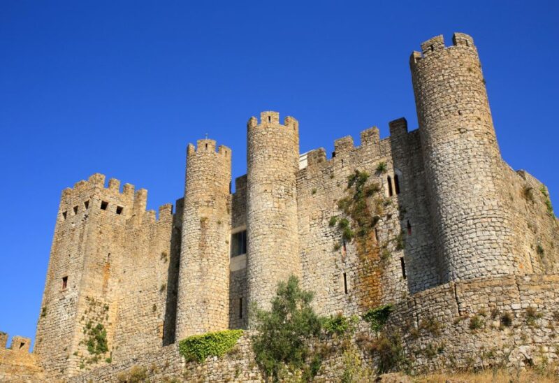 Full Day Tour - Transfer to Porto from Lisbon with Stops - Optional: Exploring Aveiro’s Canals and Art Nouveau Charm