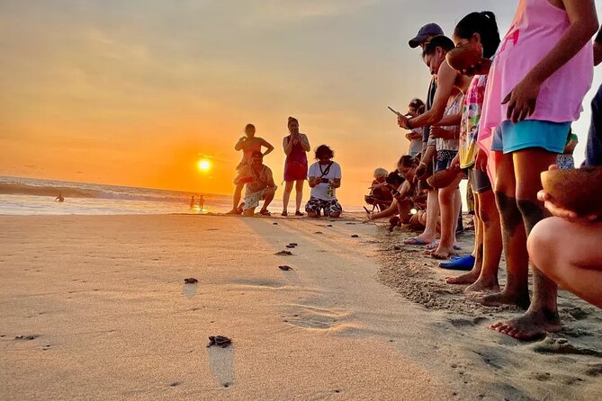 Full Day Tour Turtle Release and Bioluminescence - Witnessing Bioluminescence at Laguna Manialtepec