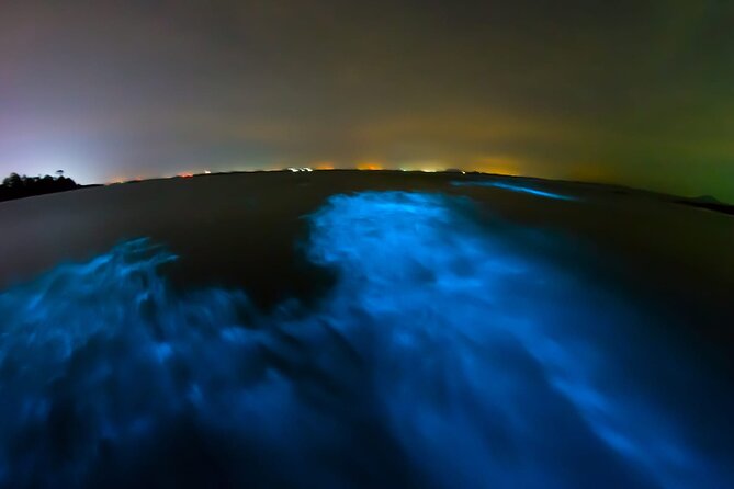 Full Day Tour Turtle Release and Bioluminescence - Return and Drop-off in Huatulco