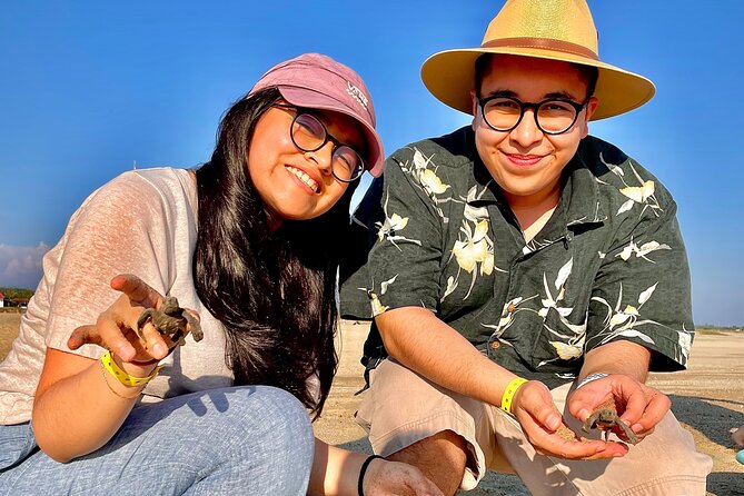 Full Day Tour Turtle Release and Bioluminescence - Included Services and Optional Extras