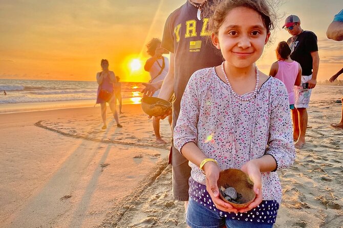 Full Day Tour Turtle Release and Bioluminescence - Unique Features of the Tour Experience