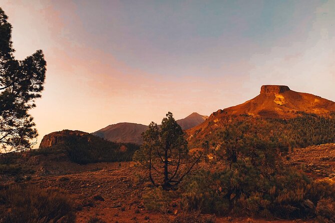 Full Day Tour with Certified Guide in Tenerife - Practical Tips for the Day