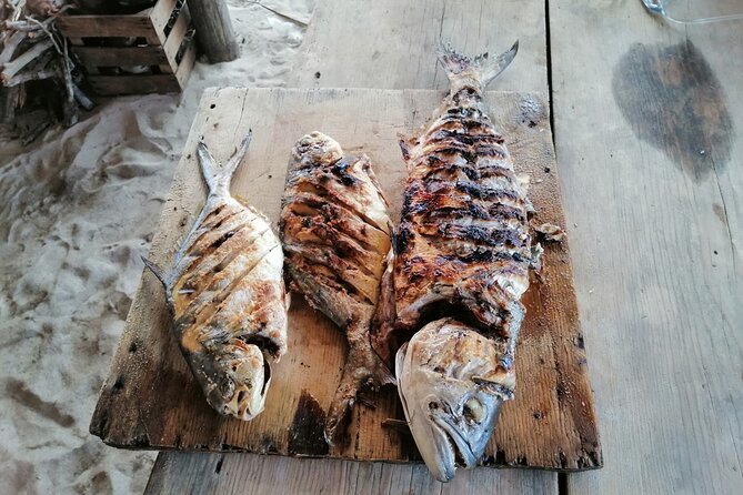 Full Day Tour with Fishing and Snorkeling from Holbox - Key Points