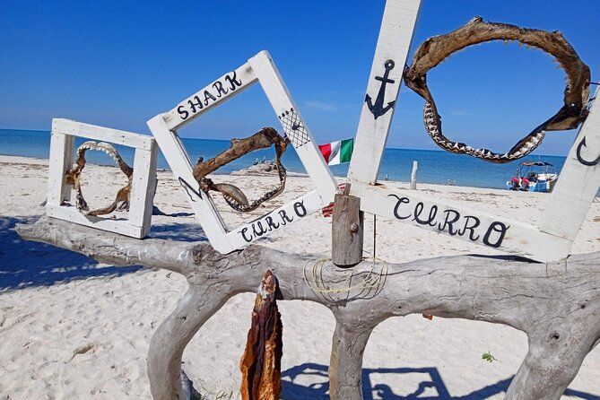 Full Day Tour with Fishing and Snorkeling from Holbox - Who Will Love This Tour?