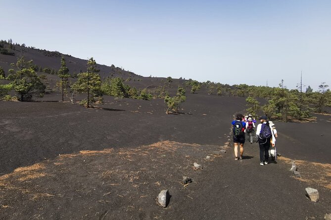 Full Day Tour with Hiking to the Tajogaite Volcano - Starting Point and Transportation Details