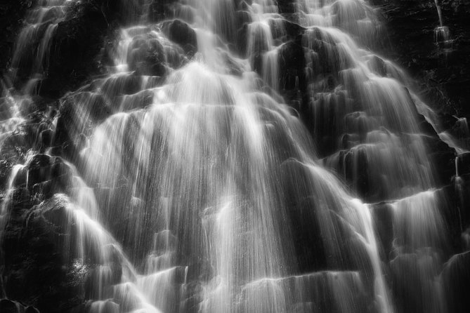 Full-Day Tour With Instruction in Vistas & Waterfall Photography - Equipment and Gear: Tripods and Cameras