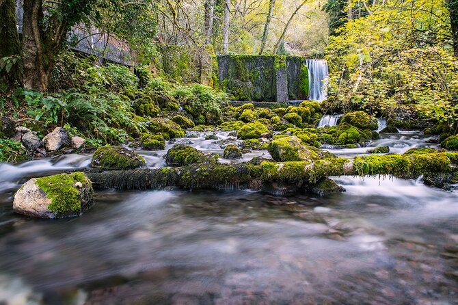 Full-Day Trip from Belgrade: Tara National Park & The Drina River Valley - The House on the Rock in Bajina Basta