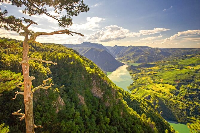 Full Day Trip from Belgrade: The Drina River House And Tara Park Tour - Discover the Vastness of Tara National Park