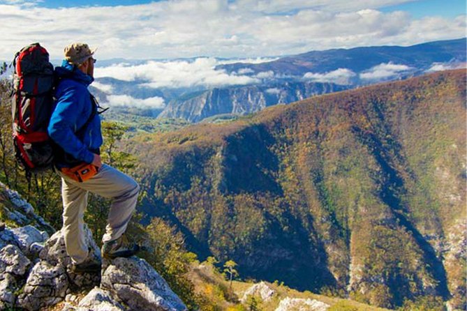 Full Day Trip from Belgrade: The Drina River House And Tara Park Tour - Comfortable and Convenient Transportation