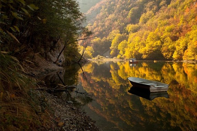 Full Day Trip from Belgrade: The Drina River House And Tara Park Tour - Expert Guides with a Passion for the Sights