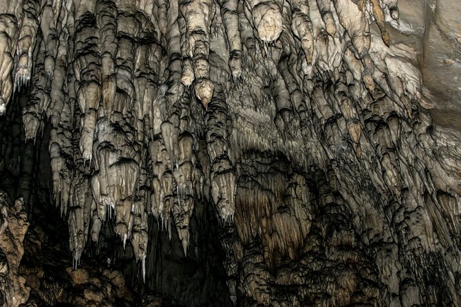 Full Day Trip from Belgrade: Uvac Nature Reserve Tour - Return Journey to Belgrade with Comfort and WiFi