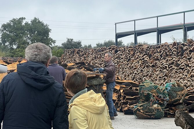 Full-day Trip in Evora, Winery & Cork Factory Private Transport - Discovering Evora’s Roman and Medieval Landmarks