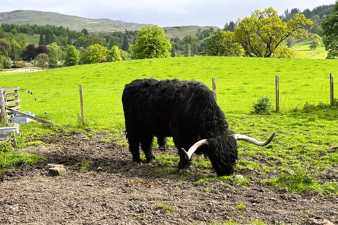 Full-Day Trip: Loch Ness, Glencoe & The Highlands from Edinburgh - Fort William: A Midday Break and Lunch Stop