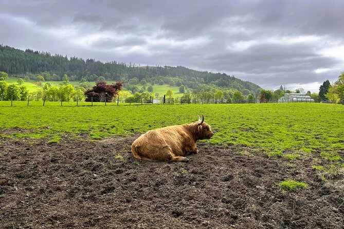 Full-Day Trip: Loch Ness, Glencoe & The Highlands from Edinburgh - Exploring Pitlochry: The Victorian Resort Town