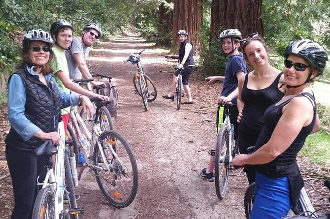 Full-Day Tuscan Countryside Bike Tour - The Experience’s Strengths and Limitations