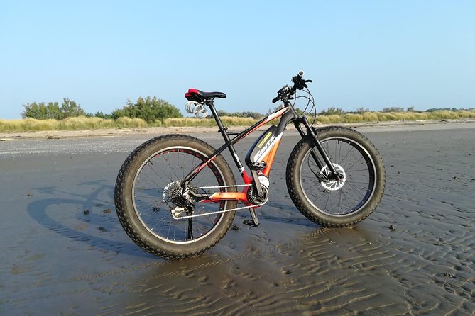 Full Day Venice E-Bike Rental - Key Points