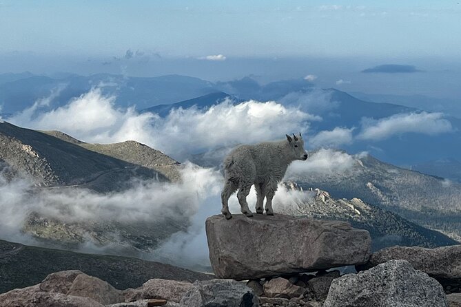 Full-Day Views and Scenic Mount Evans Private Guided Drive Tour - Experience the Majesty of Loveland Pass