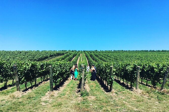 Full-Day Vintage Bus Wine Tour of Sussex from London - Visiting Court Gardens Farm: An Introduction to English Winemaking