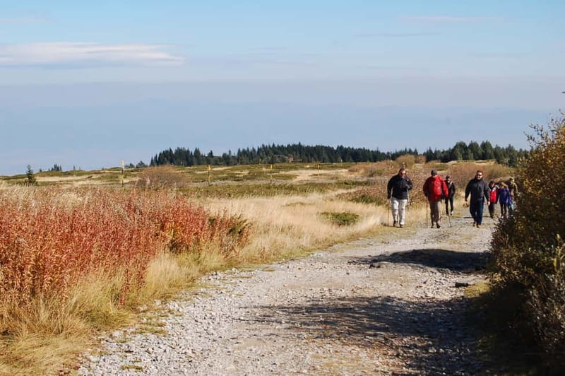 Full-Day Vitosha and Cherni Vruh Peak Hiking Tour - Passing Through Bulgaria’s First Nature Park and Peat Reserve