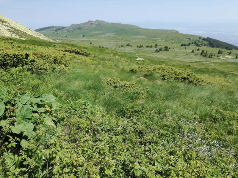 Full-Day Vitosha and Cherni Vruh Peak Hiking Tour - Flexibility with Booking and Cancellation Policies