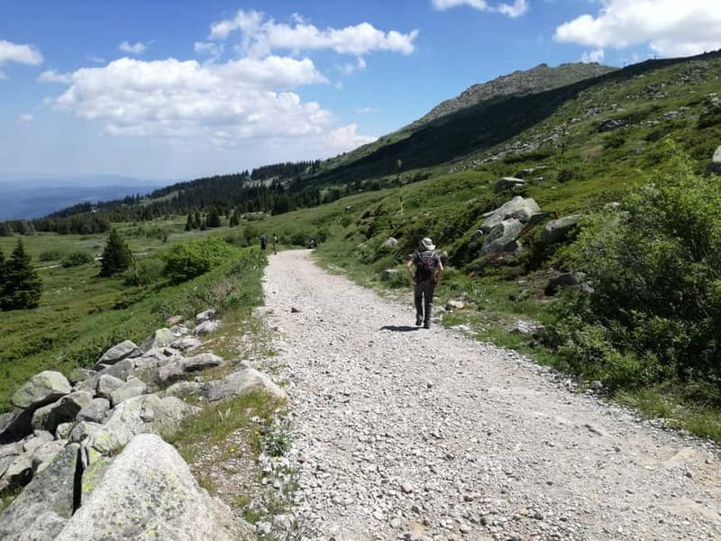 Full-Day Vitosha and Cherni Vruh Peak Hiking Tour - Who Will Enjoy This Tour Most?