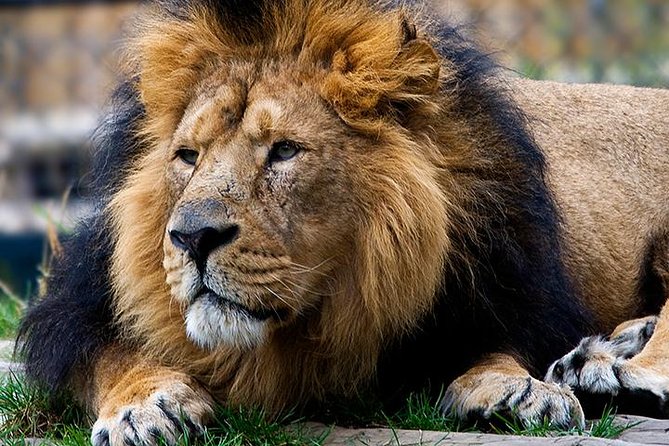 Full-Day Western Theme Park Tour of Mini Hollywood - Oasys - Explore the Unique Western Experience at Mini Hollywood in Oasys