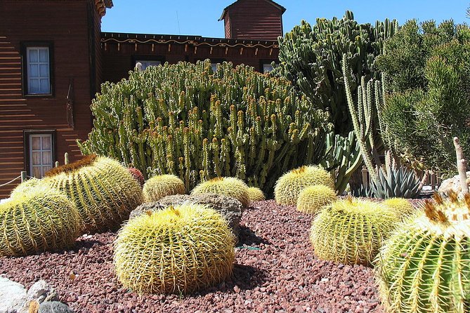 Full-Day Western Theme Park Tour of Mini Hollywood - Oasys - Wildlife Encounters in the Mini Hollywood Zoo