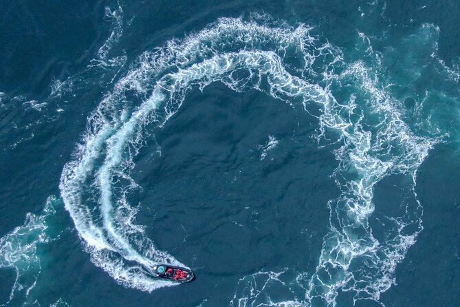 Full Day Whale Watching Campbell River - Weather and Safety Considerations