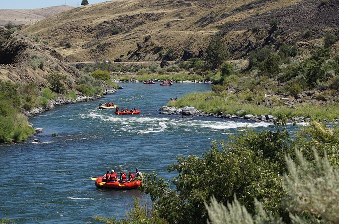Full Day Whitewater Rafting - Deschutes River - Safety and Family-Friendly Environment