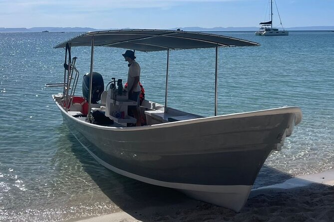 Full Day Wildlife Expedition in the Sea of Cortez - Key Points