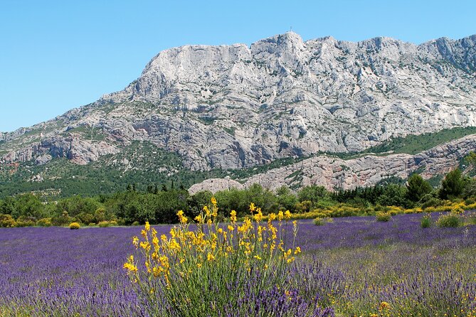 Full-Day Wine and Cheese Tour around Aix-en-Provence from Marseille - The Second Winery Visit and Regional Diversity