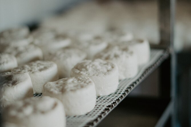 Full-Day Wine and Cheese Tour around Aix-en-Provence from Marseille - Lunch Options and Recommendations