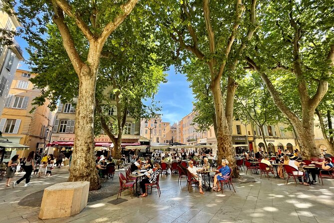 Full-Day Wine and Cheese Tour around Aix-en-Provence from Marseille - Accessibility, Physical Considerations, and Weather