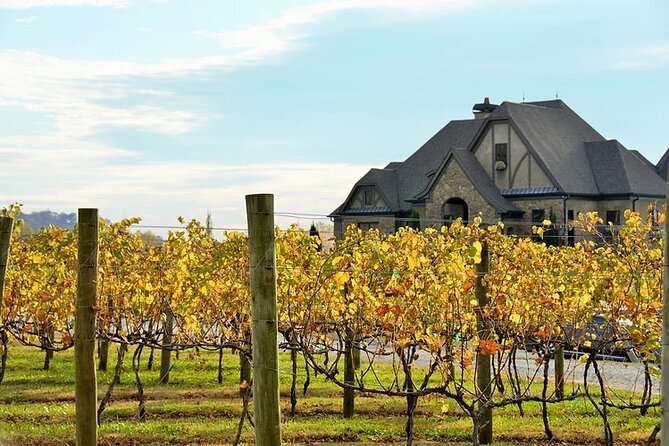 Full-Day Wine Country Wine Tastings From Atlanta - Discover Georgia’s Premier Wine Country with a Full-Day Tour from Atlanta