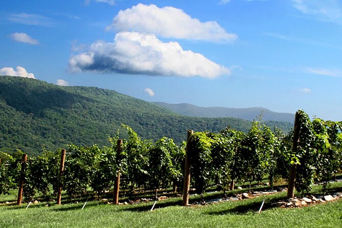 Full-Day Wine Country Wine Tastings From Atlanta - Explore Talking Rock’s Canoe Winery
