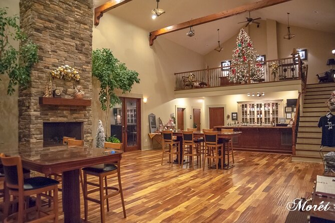 Full-Day Wine Country Wine Tastings From Atlanta - Buckley Vineyards: Sampling at Chateau Meichtry