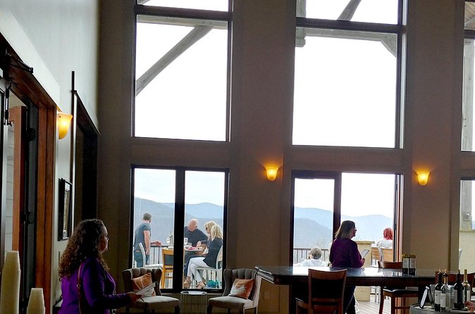 Full-Day Wine Country Wine Tastings From Atlanta - Scenic Views and Comfort on the Shuttle