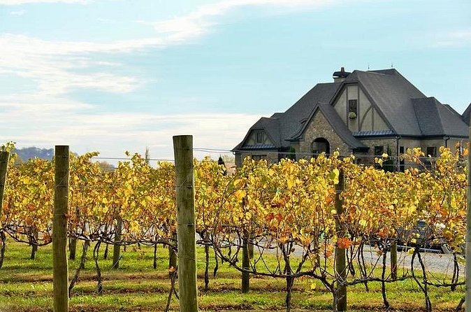 Full-Day Wine Country Wine Tastings From Atlanta - Unforgettable Wine Tastings and Local Flavors