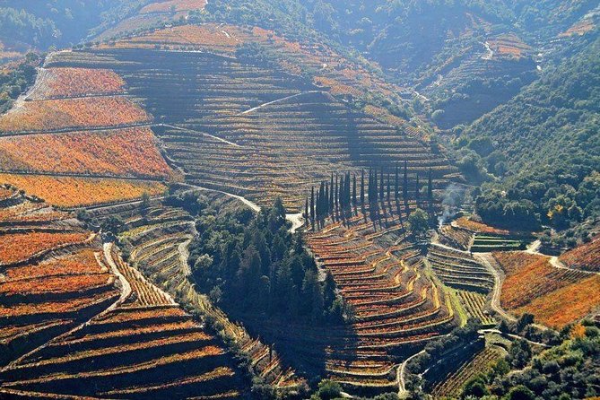 Full Day, Wine Tasting, River Cruise and Lunch from Porto - Pickup and Departure from Porto to Douro Valley