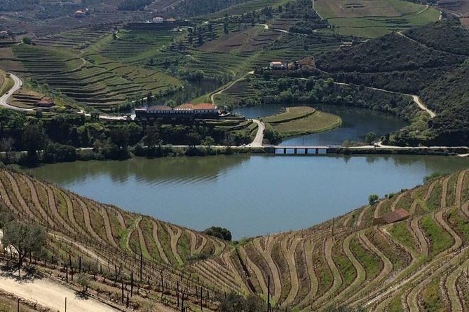 Full Day, Wine Tasting, River Cruise and Lunch from Porto - Pinhão and the Douro River Boat Tour