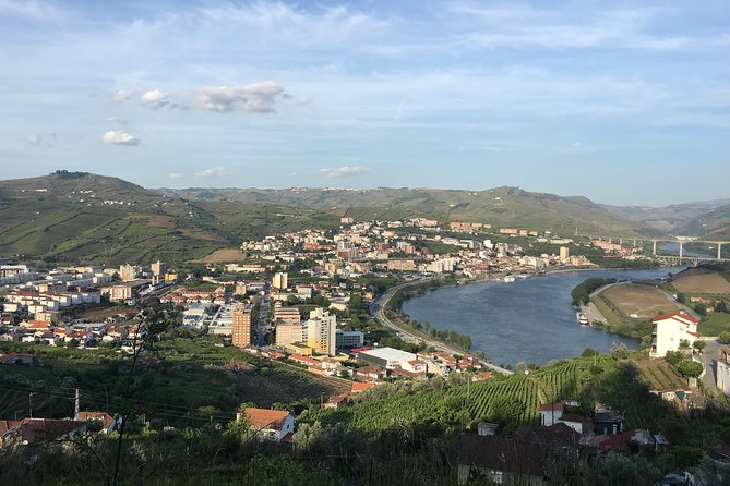 Full Day, Wine Tasting, River Cruise and Lunch from Porto - Guided Tour with Expert Driver and Informative Guide