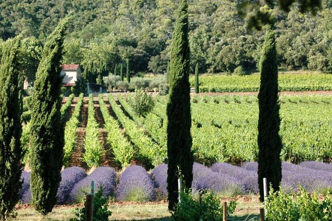 Full-Day Wine Tour around Luberon from Marseille - Explore the Luberon Wine Region from Marseille in a Day