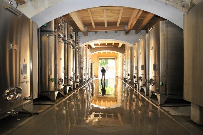 Full-Day Wine Tour around Luberon from Marseille - What’s Included and What’s Not