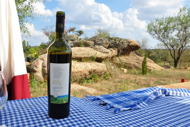 Full-Day Wine Tour from Istanbul - Departure from Istanbul and Transportation Details