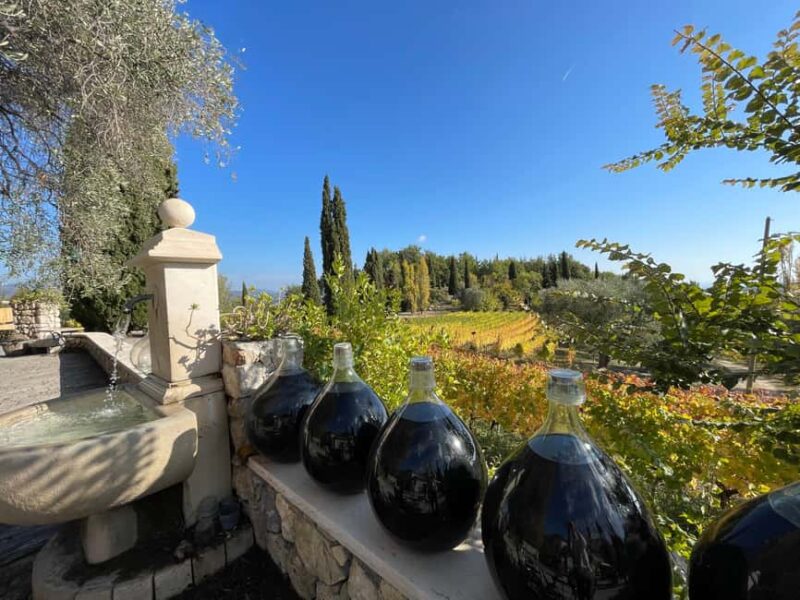 Full-Day Wine Tour in Bellet & Saint-Paul de Vence From Nice - Key Points